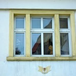 Hund am Fenster in Polen
