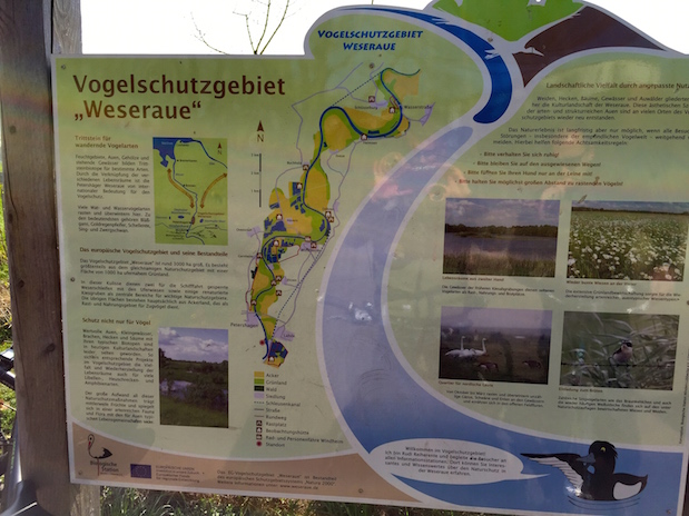 Vogelschutzgebiet Weseraugen am Weserradweg
