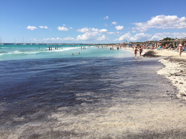 Playa Es Trenc: Bester Gay-Strand für Schwule auf Mallorca