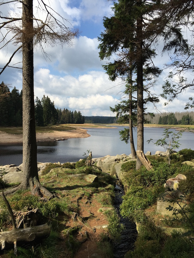 Harz-Wanderung um den Oderteich