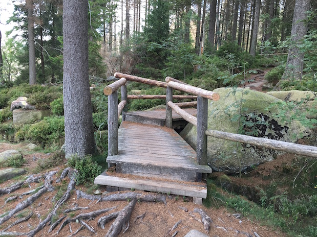 Idyllischer Wanderweg rings um den Oderteich im Harz