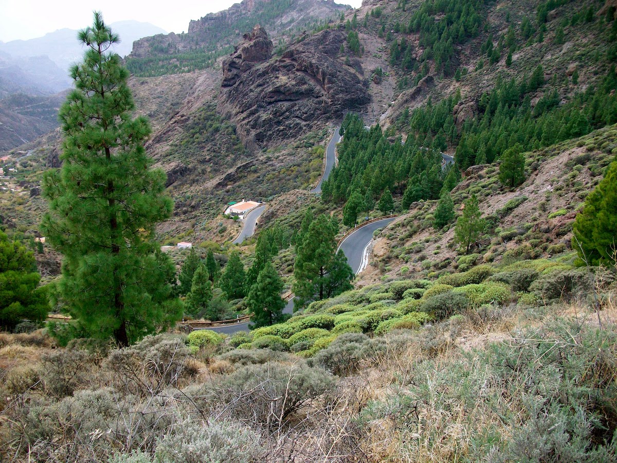 Wo kann man am Roque Nublo parken?