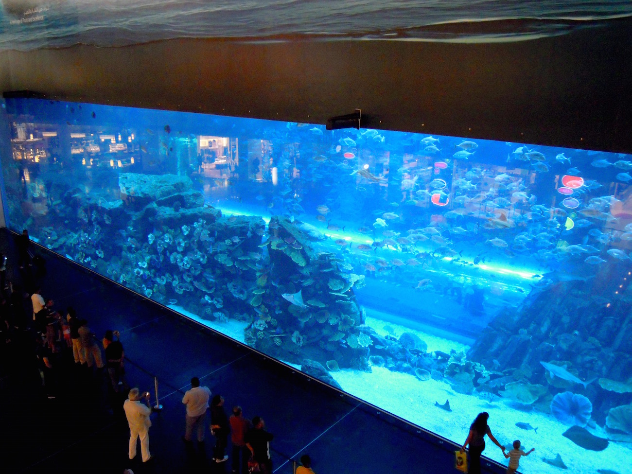 Das riesige Aquarium in der Dubai Mall
