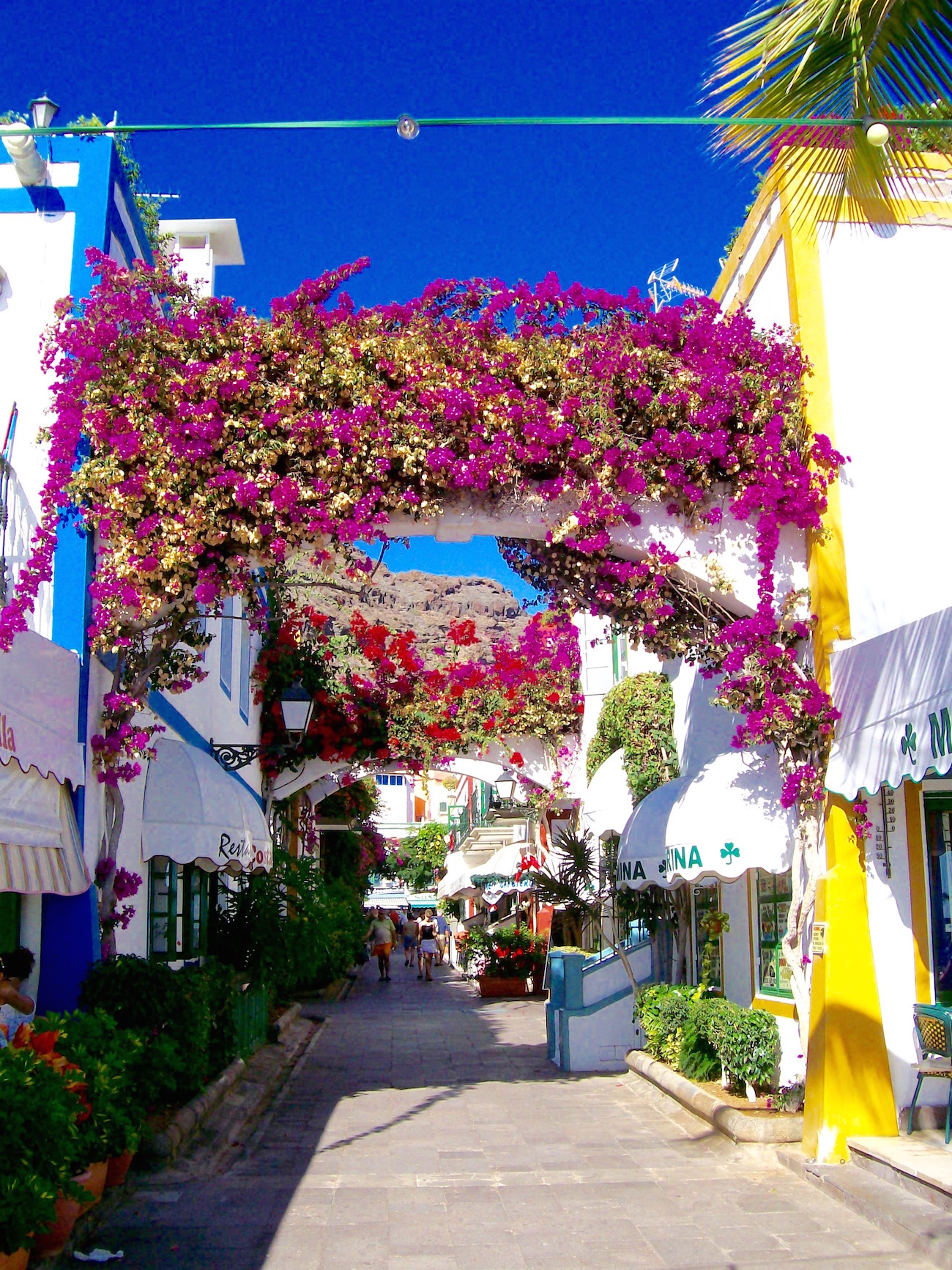 Romantisches Fotomotiv auf Gran Canaria: Puerto de Mogan