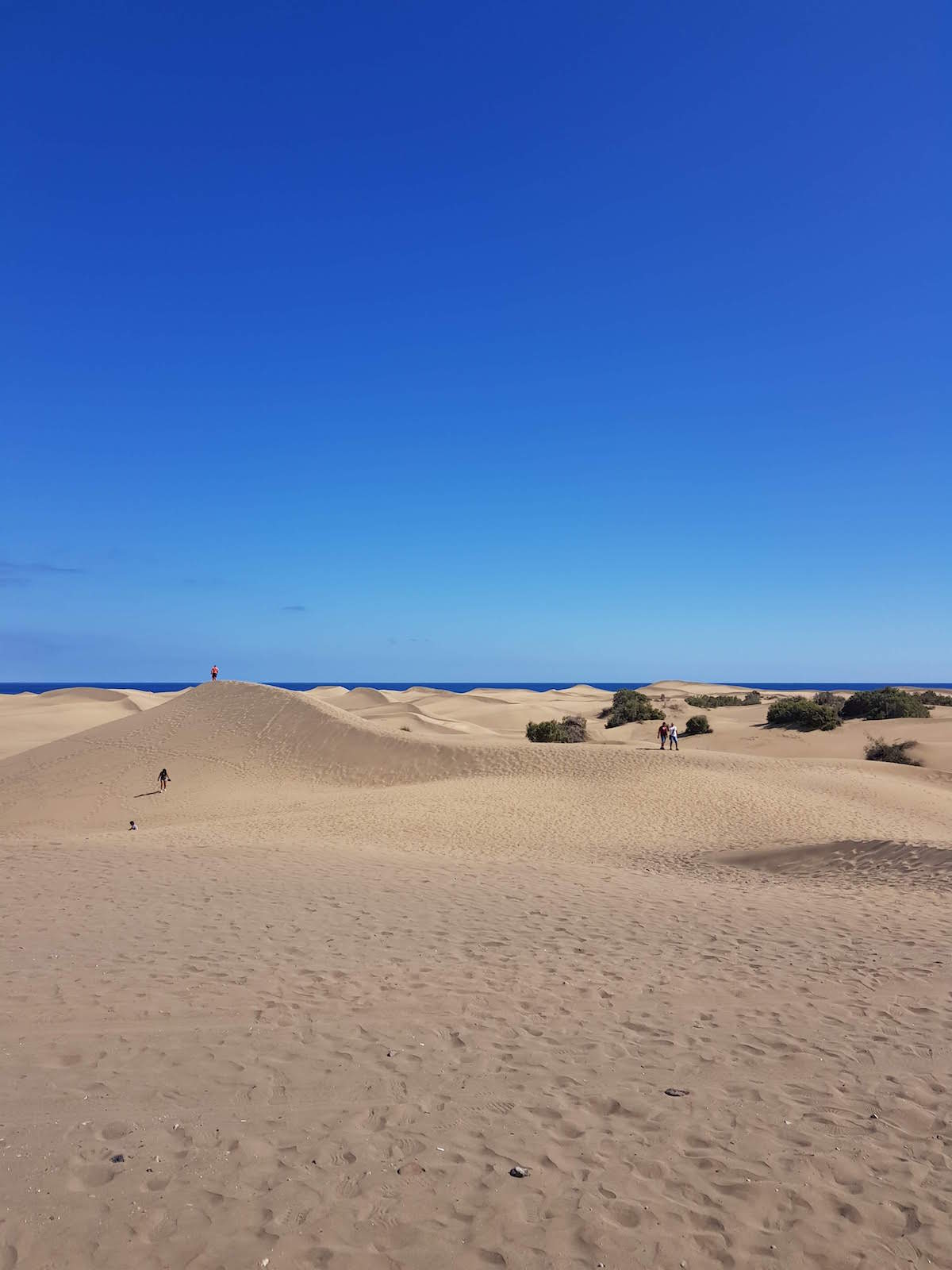 Die berühmten Dünen von Maspalomas