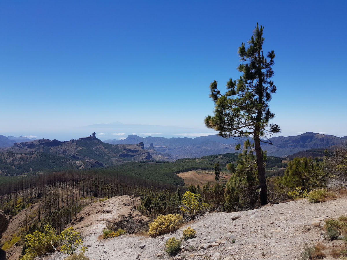 Ausblick nach Osten: Roque Nublo und Teide (Teneriffa)