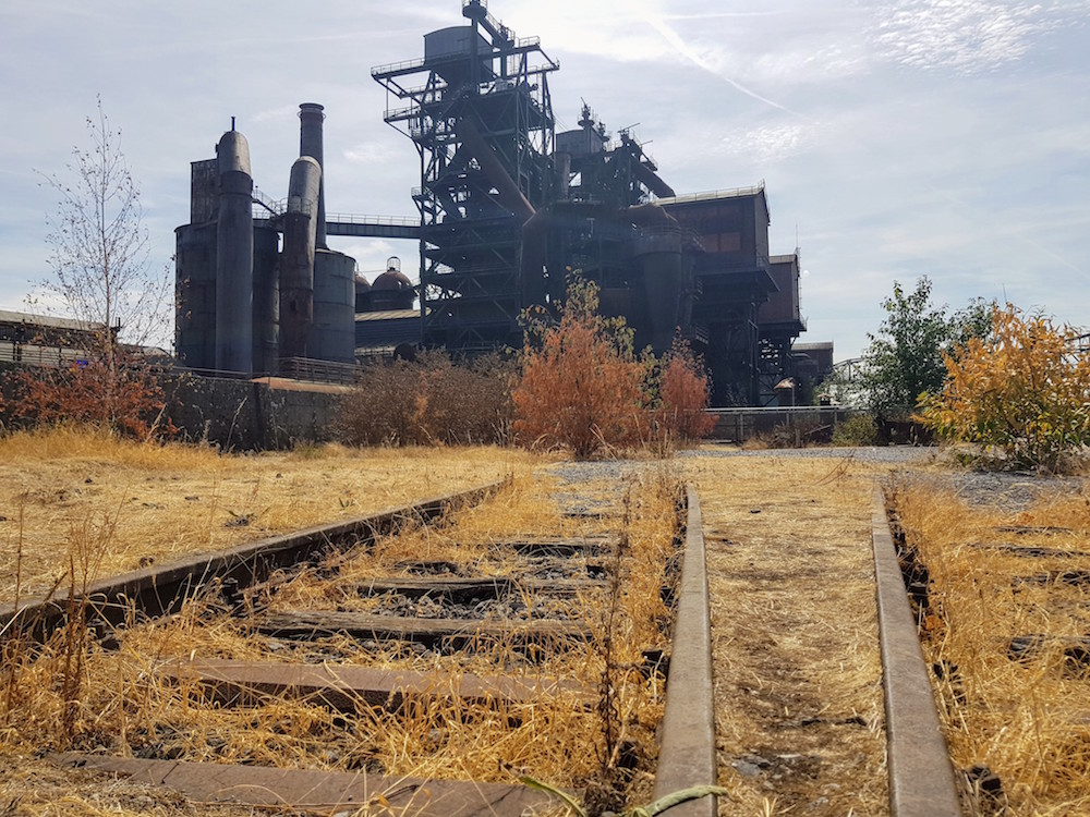 Die Natur erobert sich im Landschaftspark Duisburg ihren Platz zurück