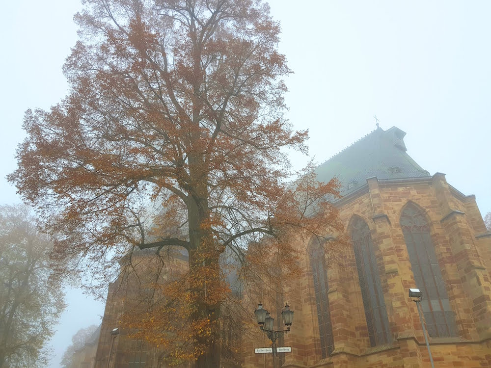 Liebfrauenkirche Frankenberg am frühen Morgen