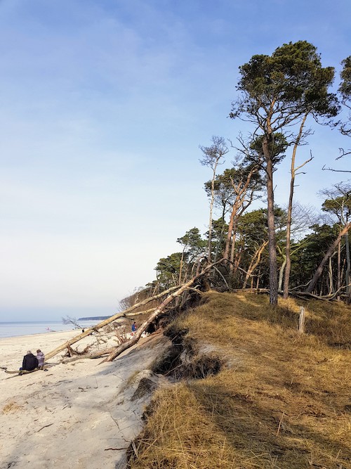 Ein Muss auf Ostsee-Gayreisen: Darßer Weststrand