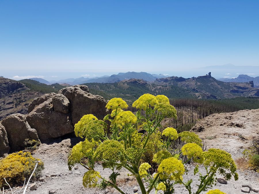 Der höchste Fotospot auf Gran Canaria