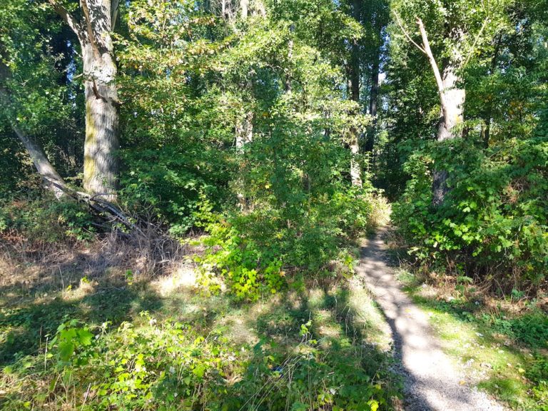 Gay Cruising Areas OutdoorSexTreff Deutschland in der Nähe 2023