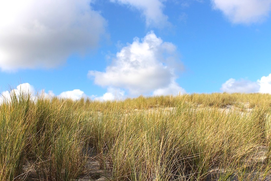 Gayurlaub Sylt - Tipps schwule Reisen