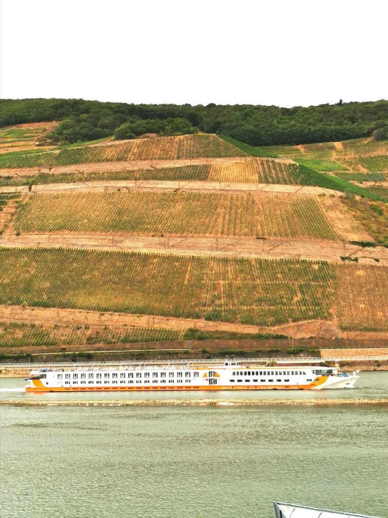 Bingen am Rhein: Blick aus unserem Zimmer im NH Hotel
