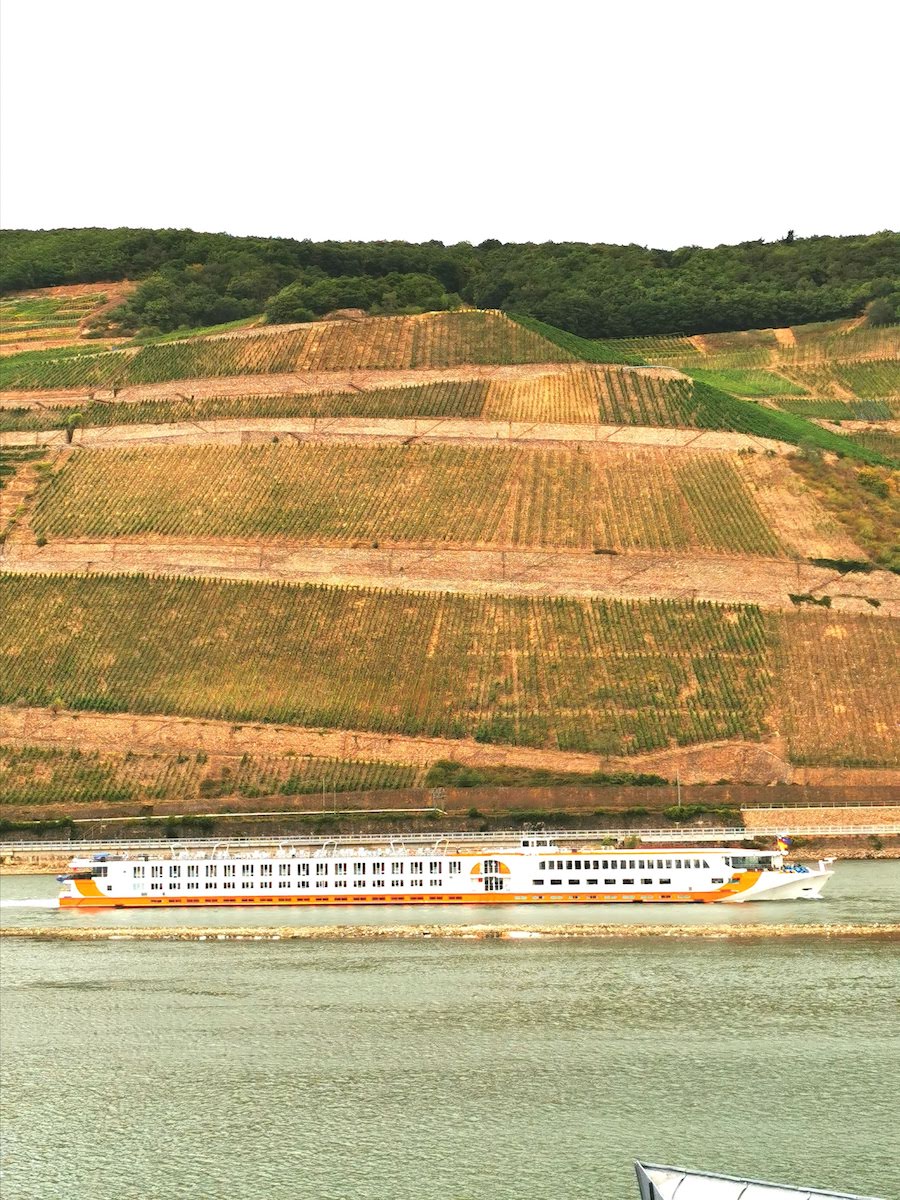 Bingen am Rhein: Blick aus unserem Zimmer im NH Hotel