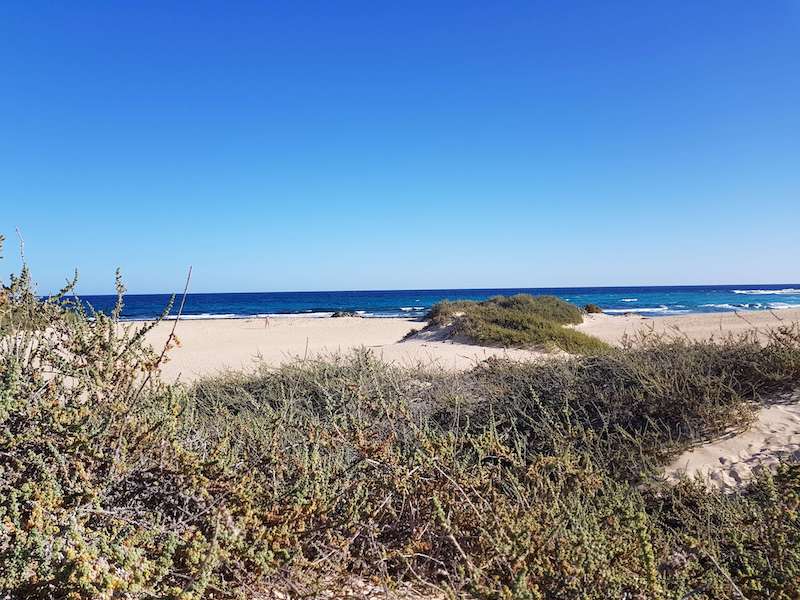 Gay Cruising Fuerteventura: Schwuler Strand und Dünen