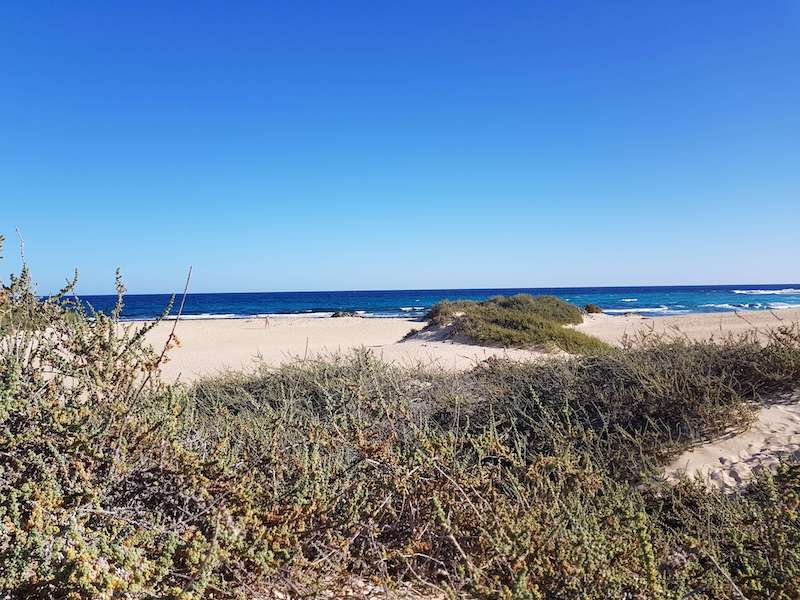 Gay Fuerteventura: Schwuler Strand und Dünen