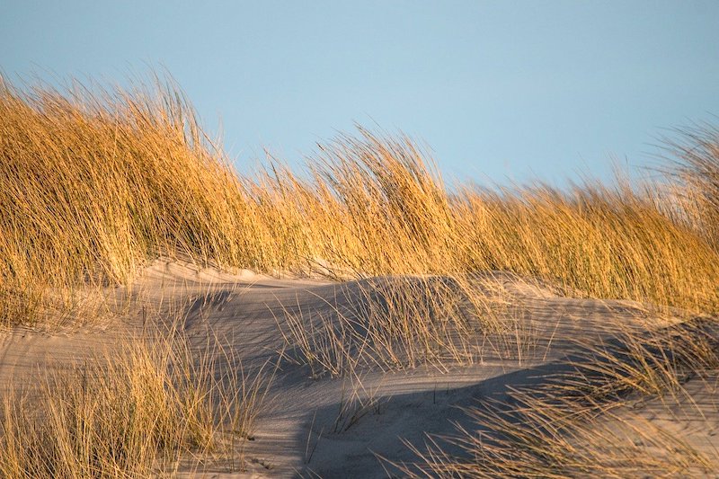 FKK-Urlaub Nordsee: Nacktbadestrände & Campingplätze für Nudisten