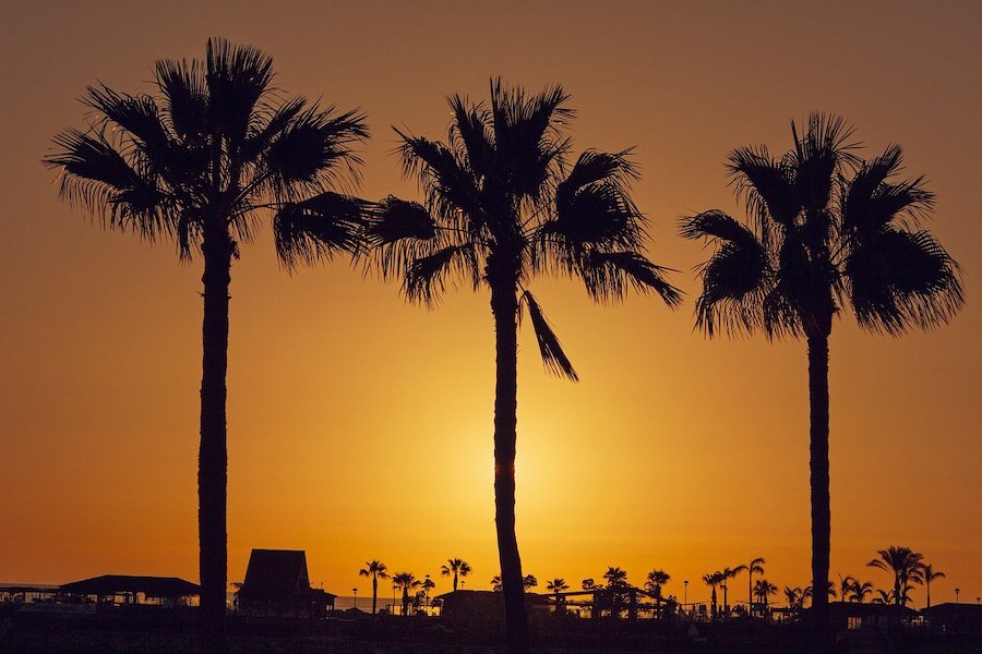 Schwule Strandclubs auf Gran Canaria