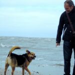 Gay-Urlaub mit Hund an der Nordsee im Wattenmeer