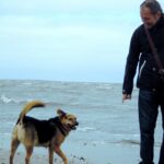 Gay-Urlaub mit Hund an der Nordsee im Wattenmeer