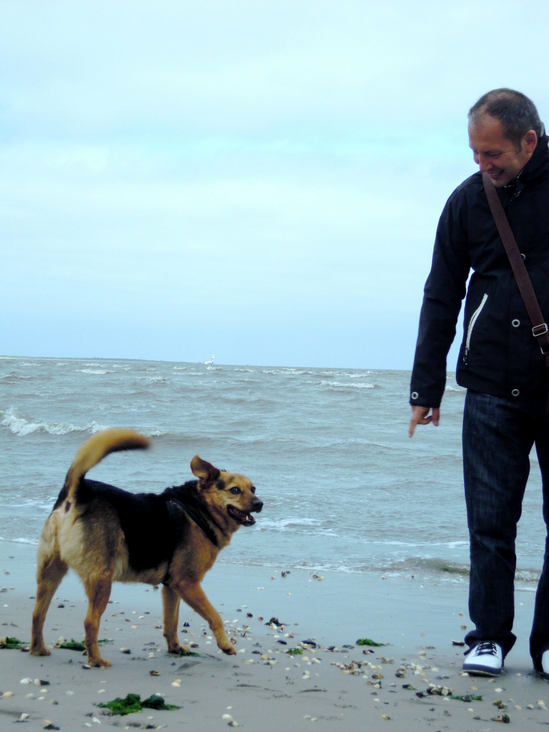 Gay-Urlaub mit Hund an der Nordsee im Wattenmeer