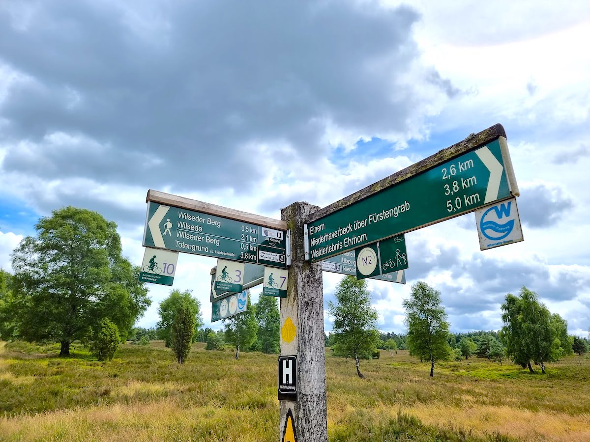 Gay-Urlaub Lüneburger Heide: Ideal für schwule Naturliebhaber und Wanderer