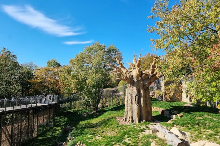 Zoo Osnabrück Erfahrungen