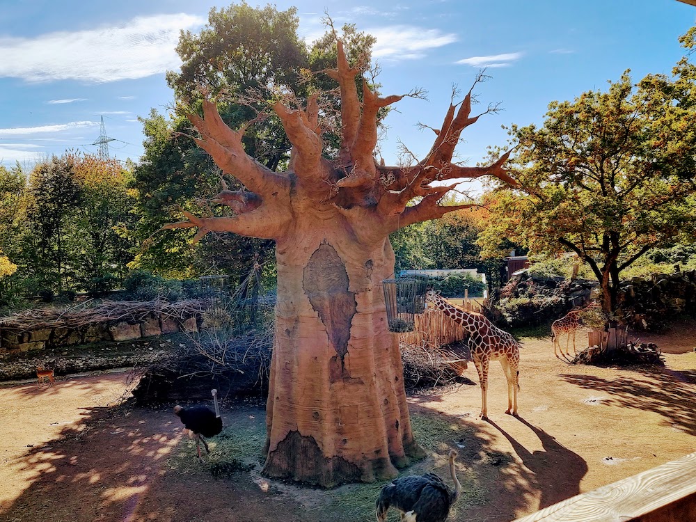 Besuch im Zoo Osnabrück: Meine Erfahrungen
