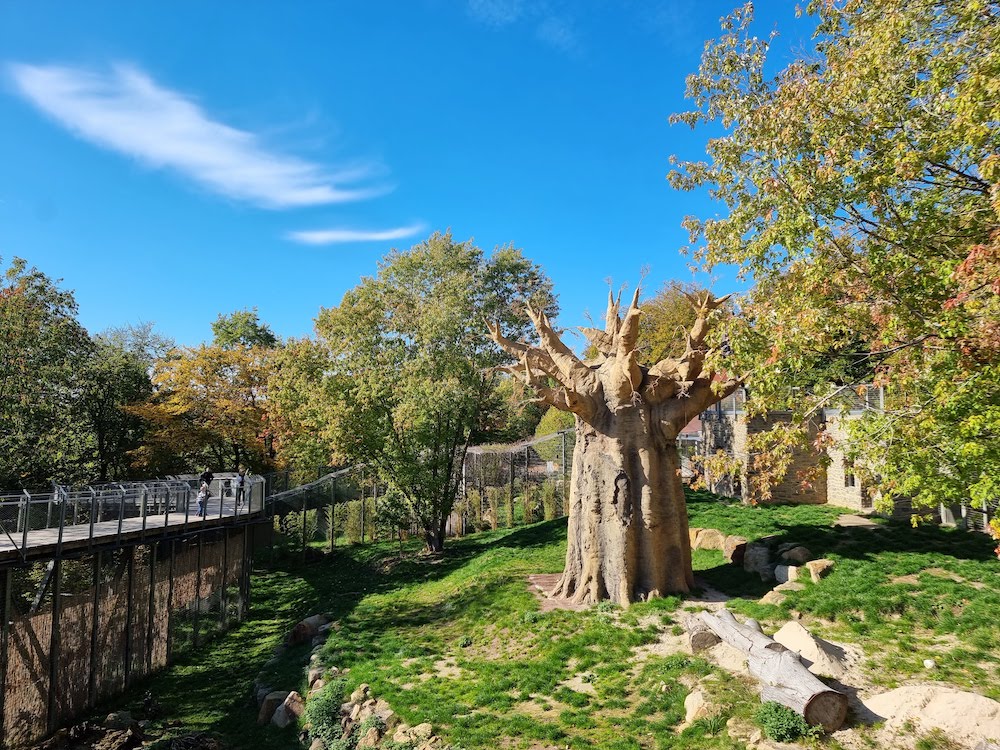 Zoo Osnabrück Erfahrungen