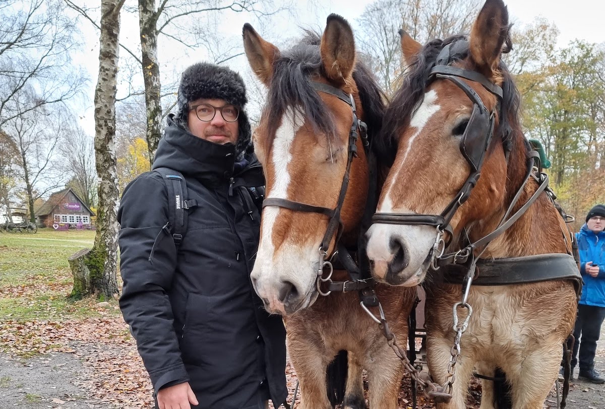 Kutschfahrt in der Lüneburger Heide