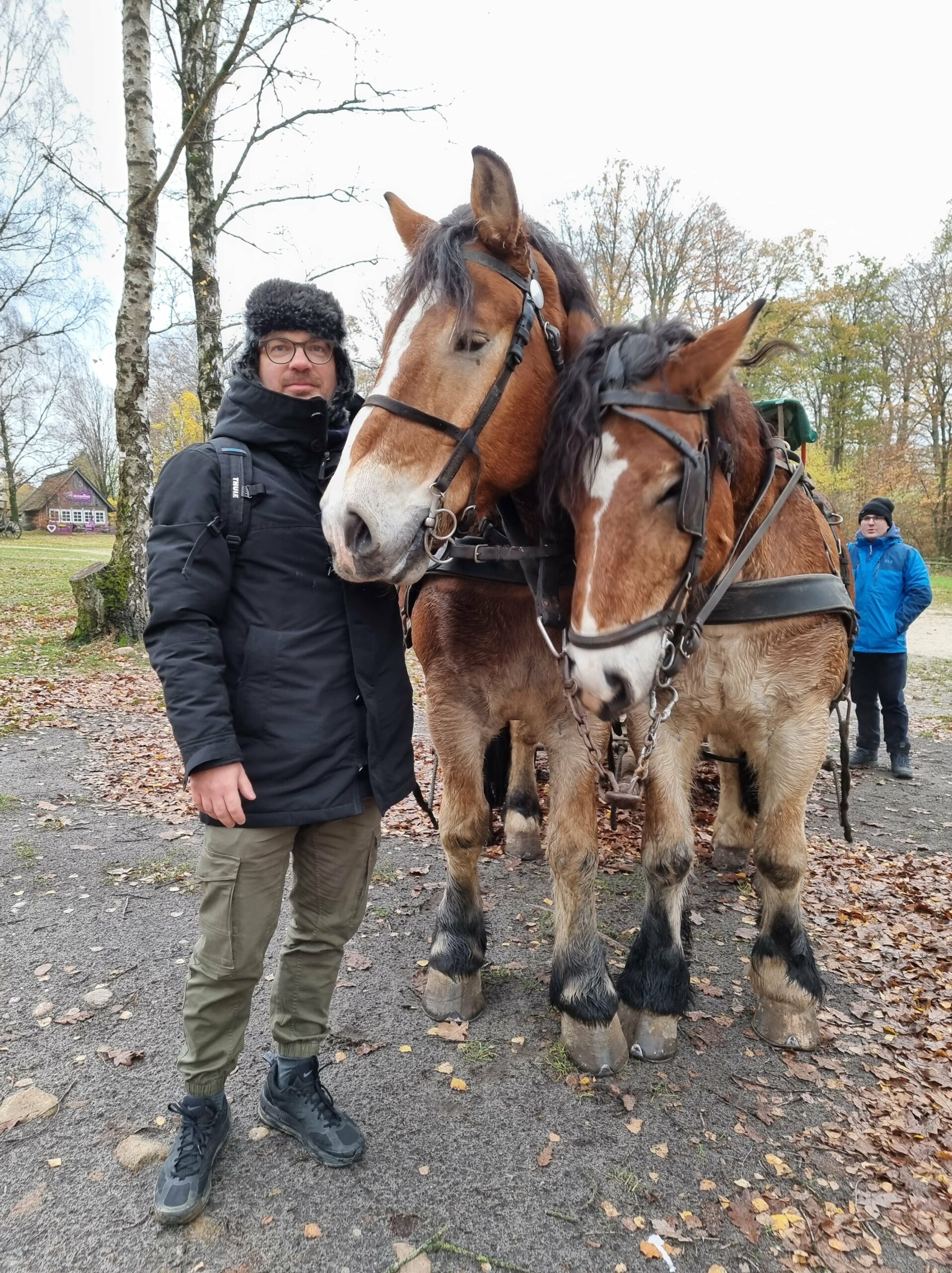 Diese schönen Kutschpferde zogen uns durch die Lüneburger Heide