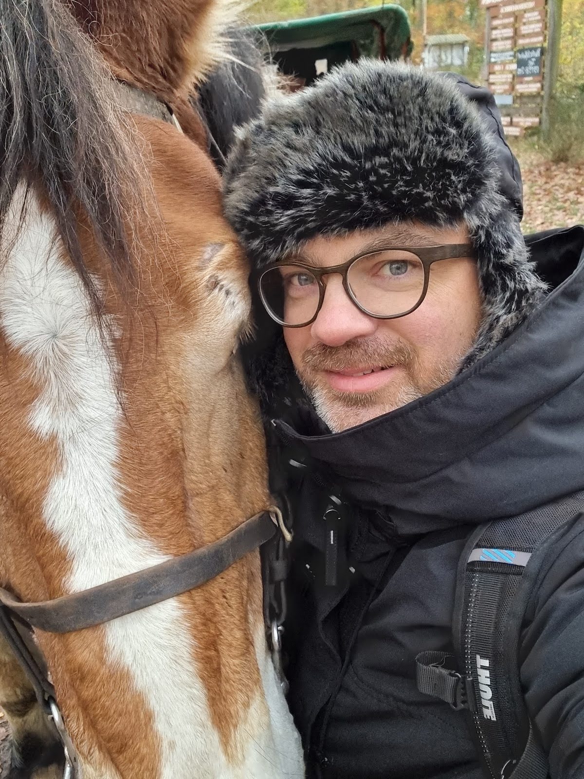 Lüneburger Heide Kutschfahrten