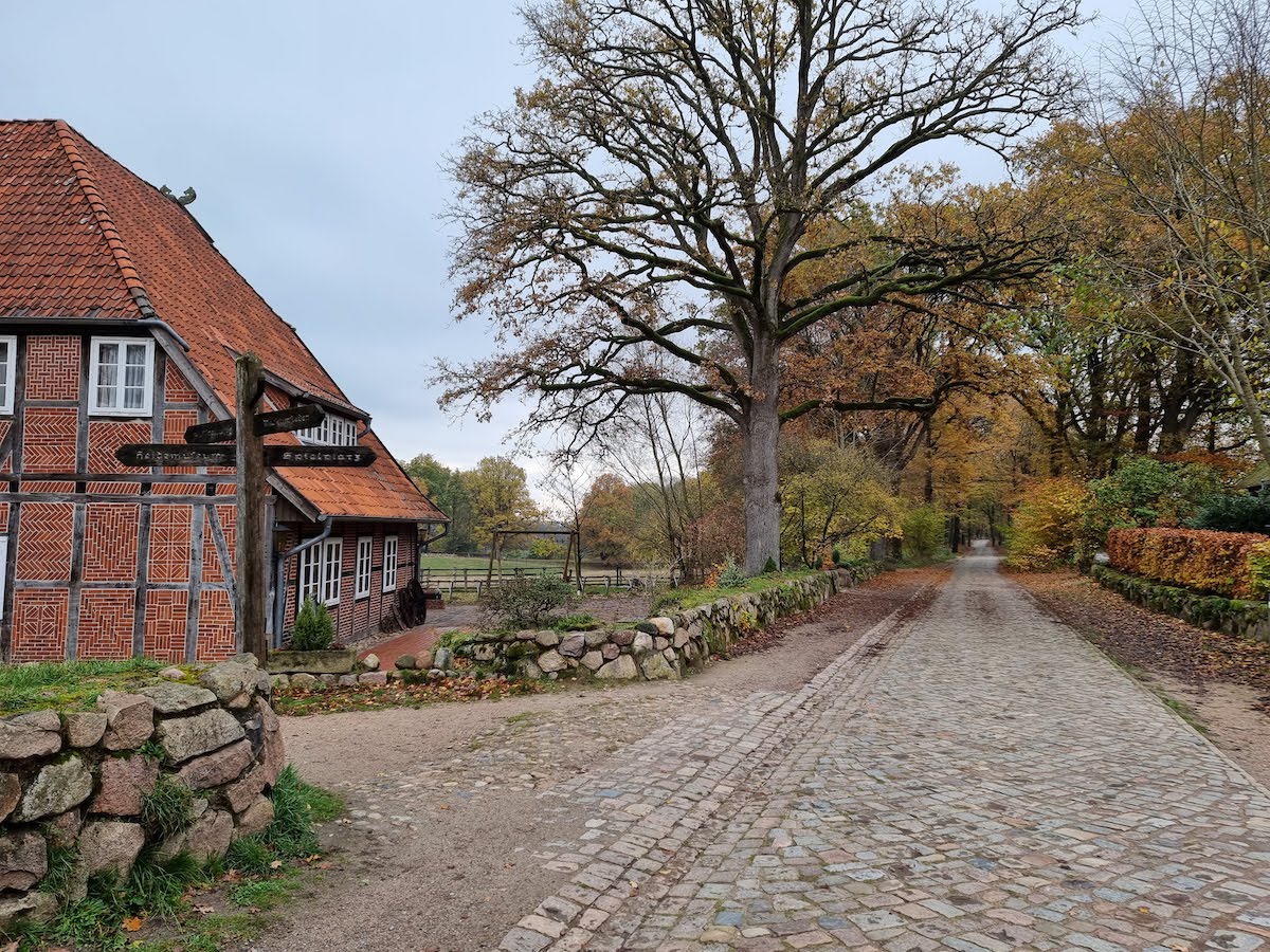 Im Heidedorf Wilsede wärmten wir uns in einem Café bei Kaffee und Kuchen auf