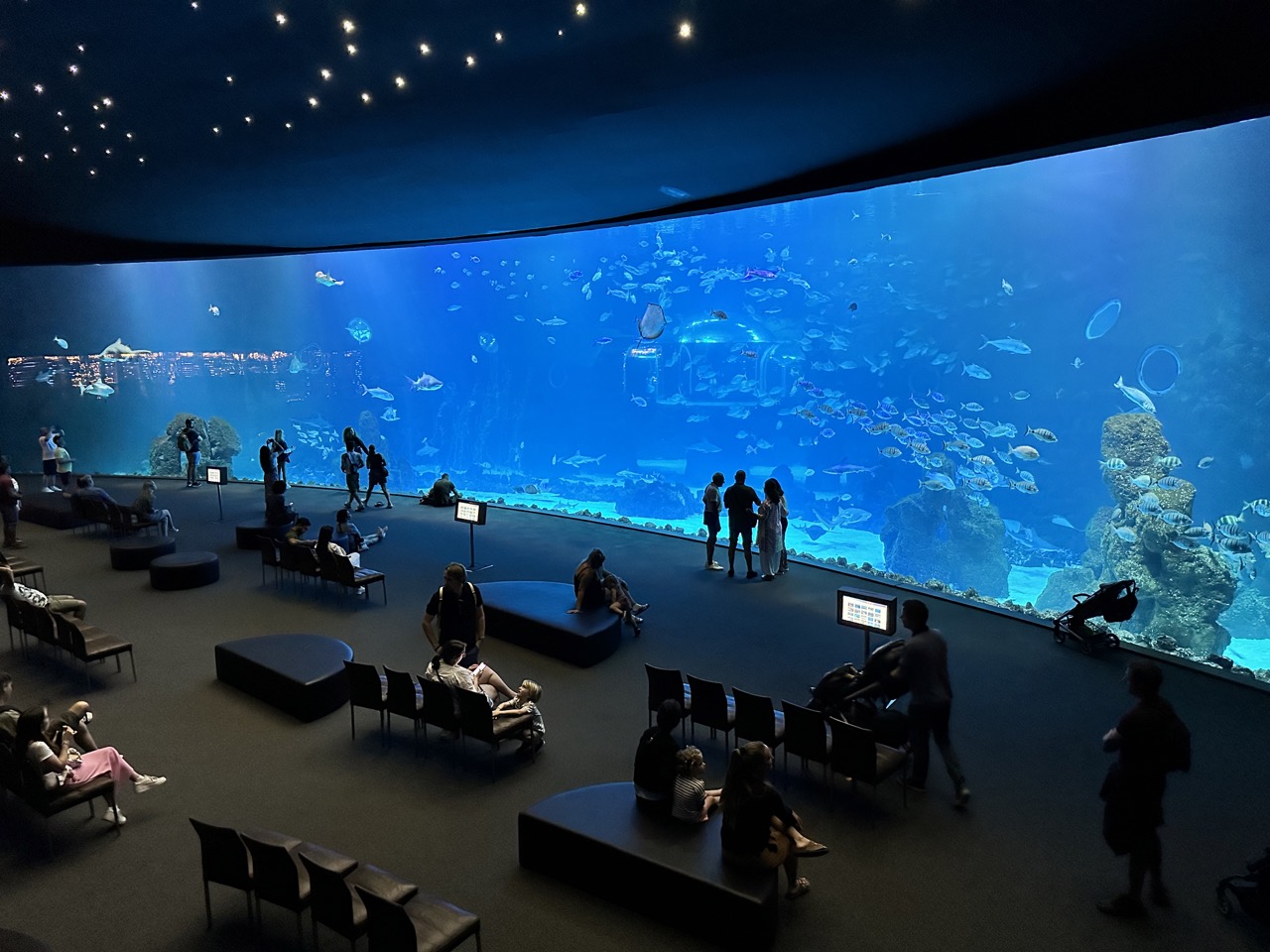 Aquarium "Poema del Mar" auf Gran Canaria