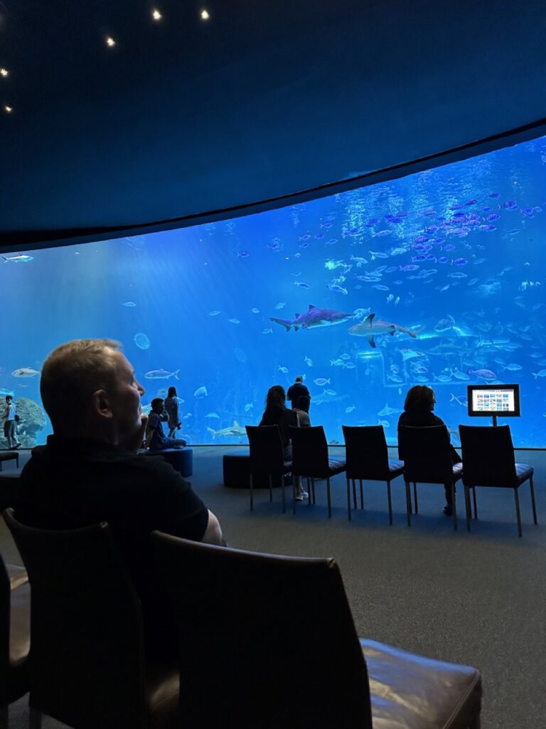 Riesige Rundscheibe im Tiefseebereich des "Poema del Mar"-Aquariums