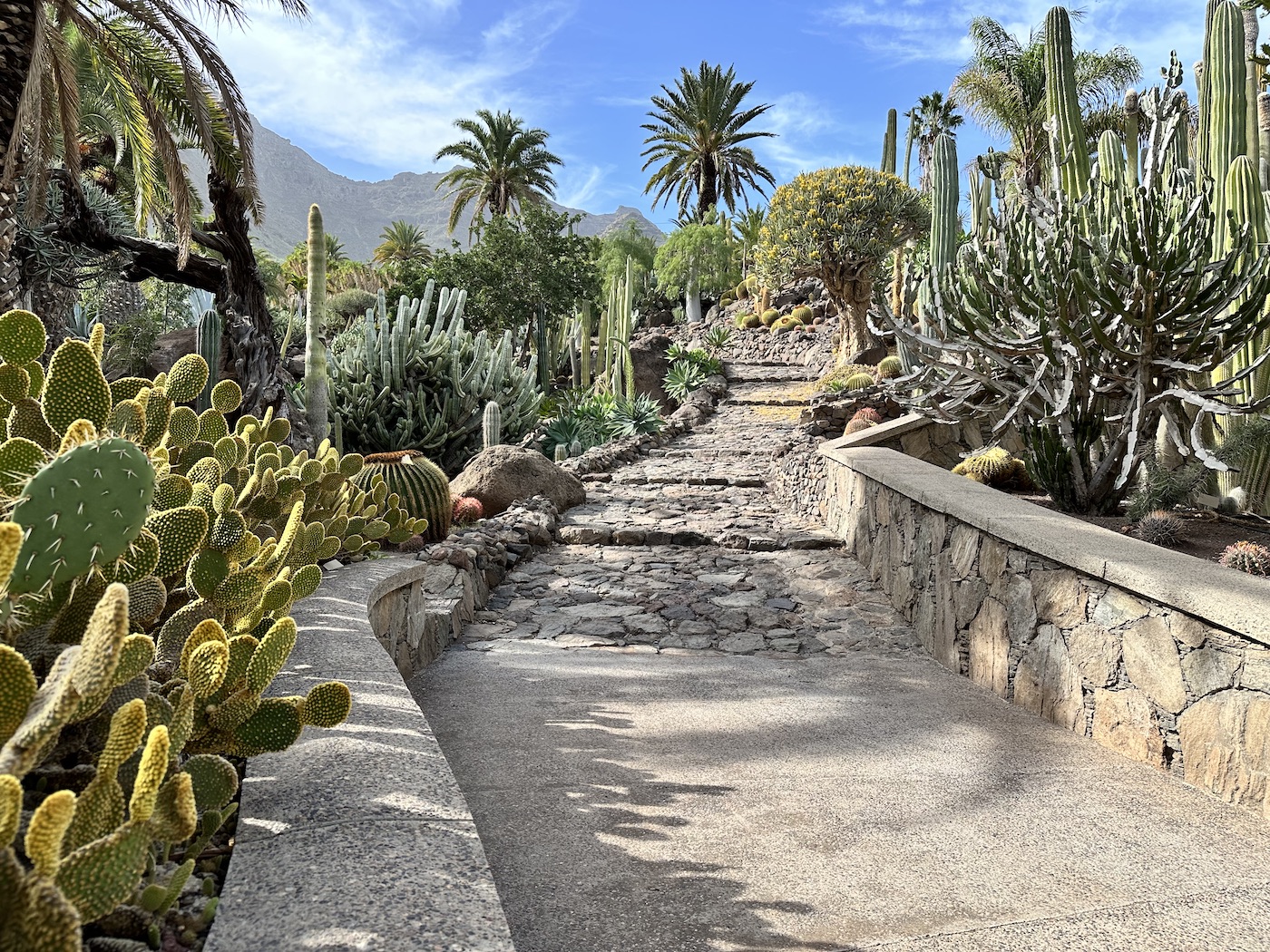 Cactualdea - Kakteenpark auf Gran Canaria