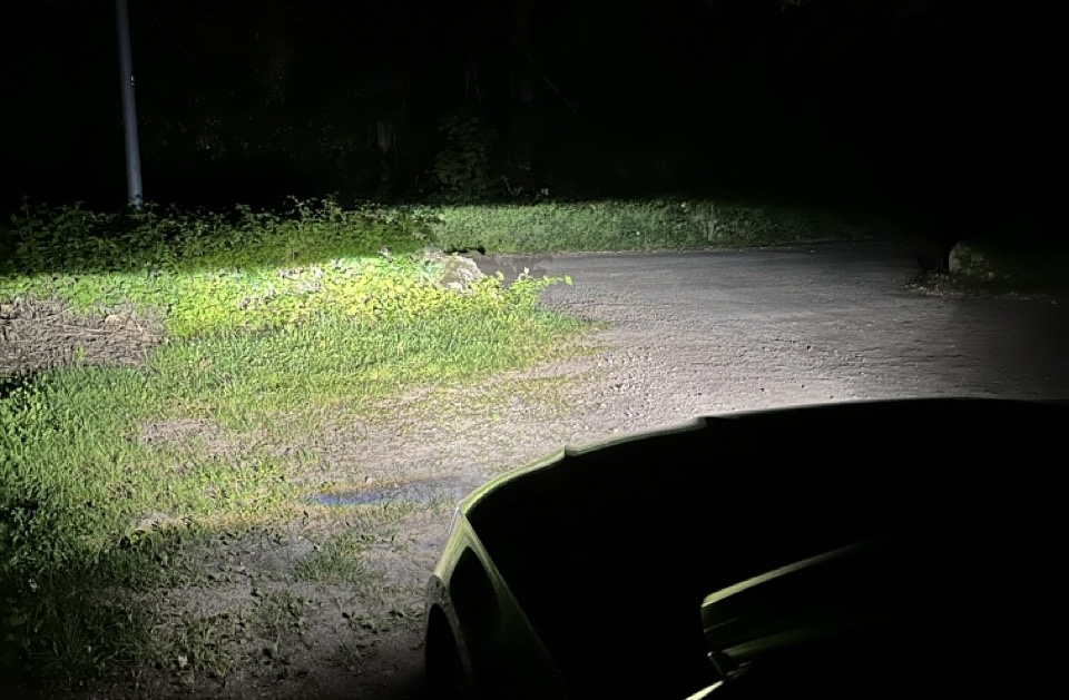 Südländer bedrohen Schwule auf Cruising-Parkplätzen