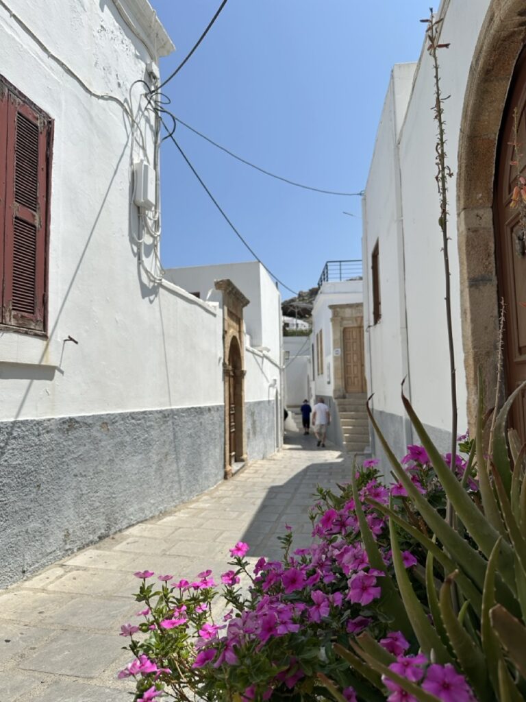 Blumen in Lindos