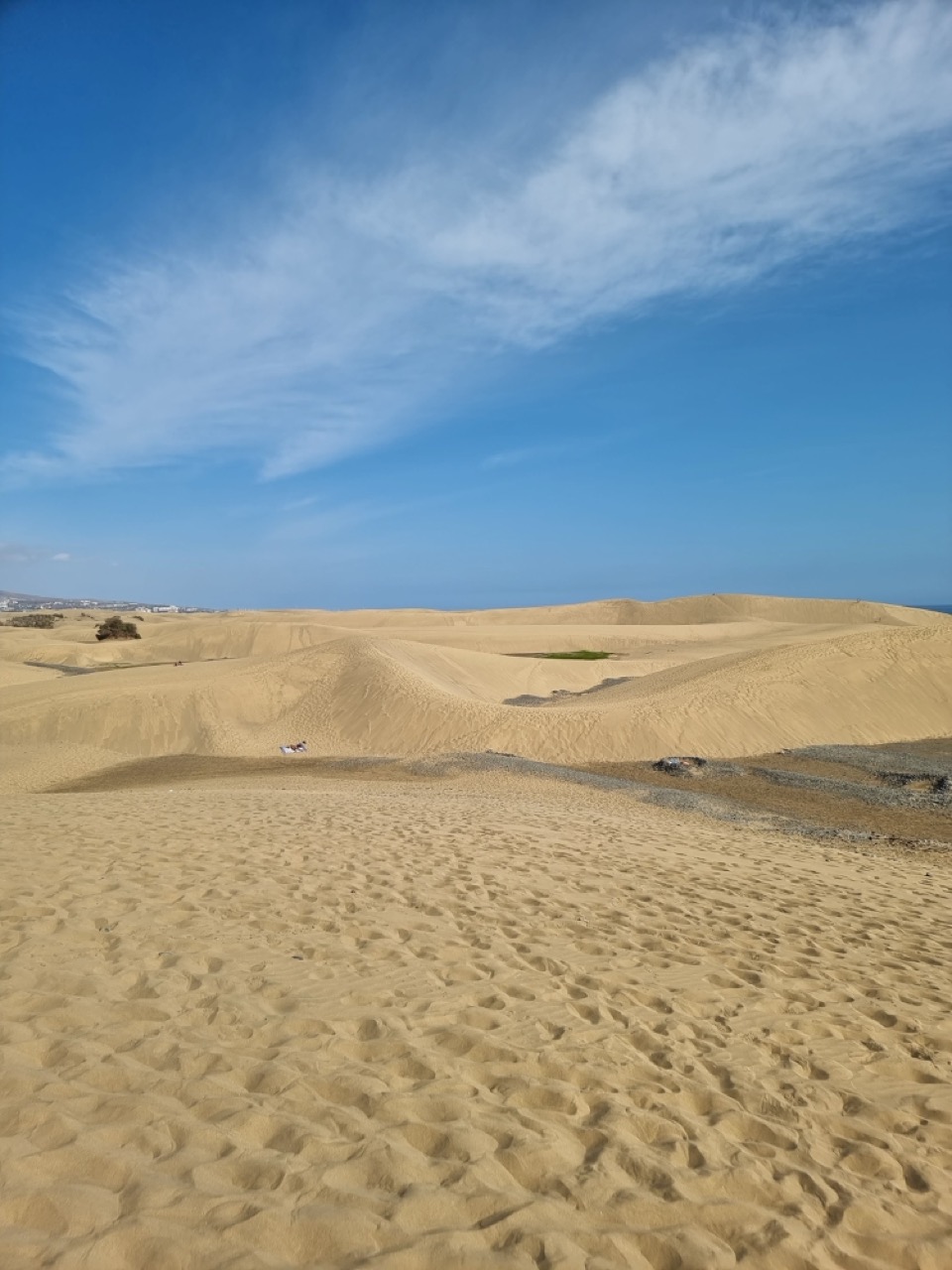 Sex in den Dünen von Maspalomas