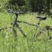 Nacktradeln: Darf man nackt Fahrrad fahren?