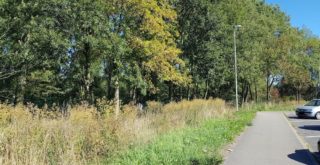 Deutsches Paar Ficke Direkt Neben Der Autobahn Deutsches Paar Ficke Direkt Neben Der Autobahn